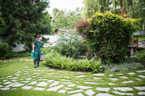 Best Affordable Pest Control Services  in Kemah, TX