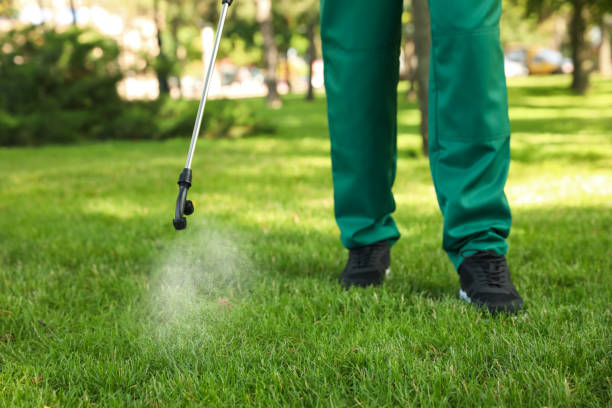 Best Local Pest Control Services  in Kemah, TX