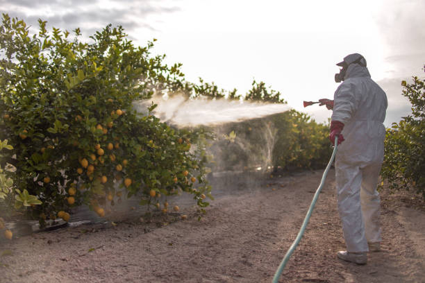 Pest Control for Restaurants in Kemah, TX