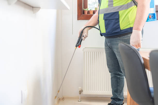 Professional Pest Control in Kemah, TX
