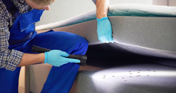 Best Pest Inspection Near Me  in Kemah, TX