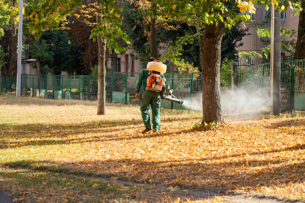 Best Wildlife Control Services  in Kemah, TX