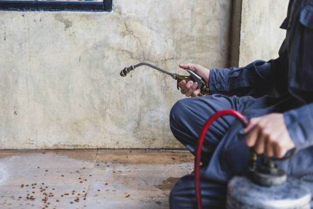 Best Residential Pest Control  in Kemah, TX